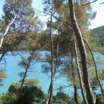 Nationalpark Mljet