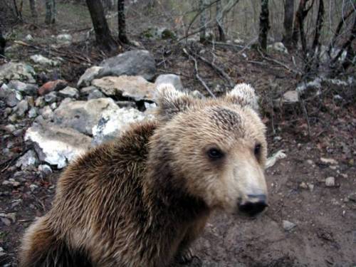 Nationalpark Sjeverni Velebit img