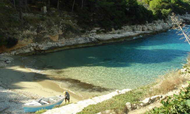 Bisevo Strand img