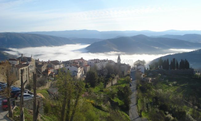 Motovun Istrien – Reiseführer img