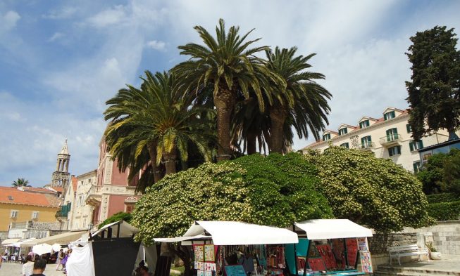 Einkaufen Insel Hvar img